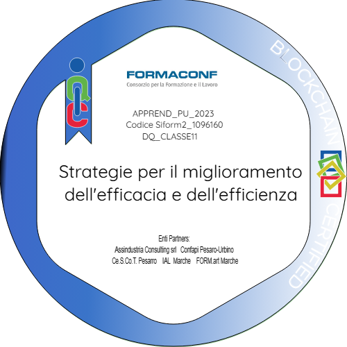 SEZ2_5.6_Strategie per il miglioramento dell'efficacia e dell'efficienza_DQ11